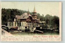 8000 Zürich 1902 - Hotel Waldhaus Dolder