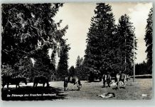 2350 Saignelégier - Au Paturage des Franches Montagnes