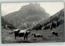 9058 Brülisau - Kuhherde auf der Sämbtisalp