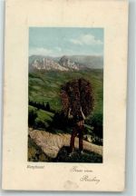 9650 Nesslau 1910 Foto AK Rossberg Bergbauer