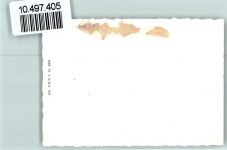 9473 Gams 1939 FOTO KEINE AK Kirche Neujahr Foto 10cm x 7cm, rückseitig Haftspuren