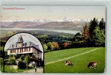 8132 Egg bei Zürich 1919 Gebrauchsspuren Kurhaus Hochwacht Pfannenstiel Okenshöhe Kühe