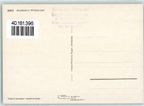 Wildstrubel - Alpabfahrt Kühe