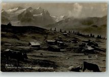 3860 Brünig - Balisalp Wetterhorn Kühe Hasliberg Feldpost Bataillon 45