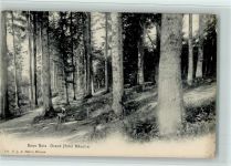 2532 Magglingen Macolin - Sous Bois Grand Hôtel Mâcolin Bäume Wald