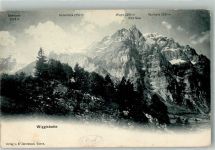 Wiggis 1907 Foto AK Wiggiskette