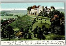 5600 Lenzburg 1903 Foto AK Schloss