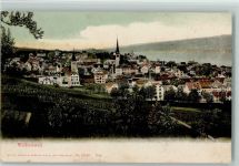 8820 Wädenswil 1906