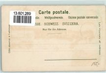 Aegerisee Lithographie Pension Hürlimann am See Aegeri-See vom Kindersanatorium aus