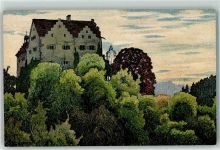 8272 Ermatingen 1916 Lithographie Schloss Salenstein