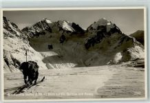 Fuorcla Surlej - Piz Bernina Rosegg Skifahrer