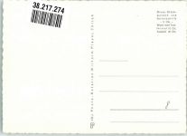 3825 Mürren Foto AK Tschingelgrat Gspaltenhorn Kühe