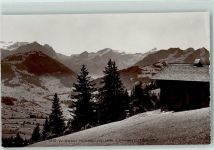 3780 Gstaad - Wildhorn Oldenhorn Les Diableret