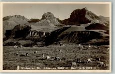 Gantrisch Foto AK Wirtneren Gr. Nünenen Gantrisch