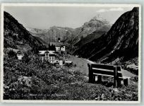 6484 Wassen UR - Wildgälle