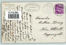 8636 Wald ZH - Gast- und Kurhaus Alp Scheidegg Kühe