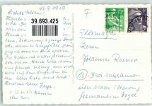 3280 Murten Morat Foto AK See Vully