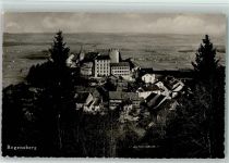 8158 Regensberg 1914 - Löwen