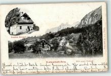 8881 Walenstadtberg 1902 - Pension Breugen Blick gegen Hochruck