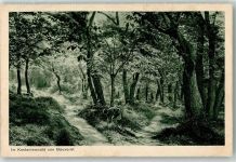 1897 Bouveret - Kastanienwald