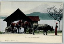 6000 Luzern Lucerne Foto AK Ochsenkarren Pferde Am Vierwaldstättersee