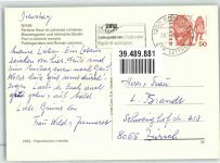 1260 Nyon - Blumengarten Römische Säulen