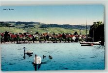 1180 Rolle - Schwanenfamilie