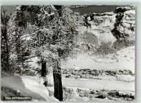 7018 Flims Waldhaus - Flimserstein Winter