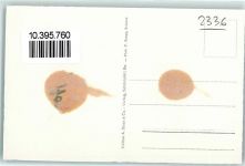 2336 Les Bois - Jura Bernois Vue aerienne