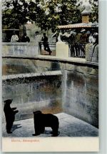 3000 Bern Berne - Bärengraben