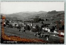 9105 Schönengrund - Kühe