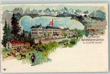 4515 Weissenstein b. Solothurn 1901 Lithographie Kurhaus Kühe Pferd Tracht