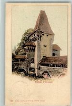 1470 Estavayer-le-Lac 1901 Gebrauchsspuren Schloss