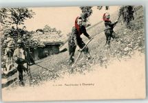 1874 Champéry - Faucheuses