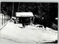 8374 Dussnang Winter Wildgehege Kneipp-Kurhaus