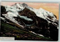 Jungfrau BE 1908 - Kuhherde
