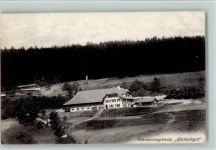 4614 Hägendorf 1910 - Ökonomiegebäude "Allerheiligen" , gute Erhaltung AK