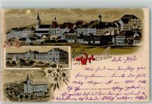 9500 Wil SG 1902 Lithographie / Mondschein Asyl Aktienbrauerei Verlag Künzli Nr 2110