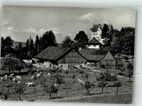 9507 Stettfurt 1971 Foto AK Schloss Sonnenberg