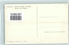 3652 Hilterfingen Gebrauchsspuren MS Blümlisalp Schloss Hünegg Eiger Mönch Jungfrau