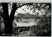 3654 Gunten 1941 Foto AK