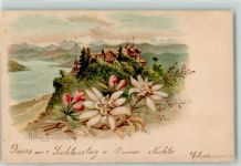 8143 Uetliberg Lithographie Züricher See