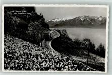 1800 Vevey Foto AK Bergbahn Schmalspurbahn Les Pléiades
