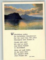 6363 Bürgenstock Foto AK Vierwaldstättersee