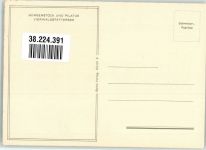 6363 Bürgenstock Foto AK Vierwaldstättersee