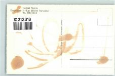 1470 Estavayer-le-Lac Gebrauchsspuren Institut Stavia