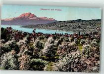 6403 Küssnacht am Rigi 1911 - Pilatus