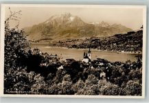 6403 Küssnacht am Rigi Foto AK