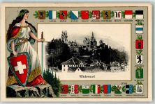 8820 Wädenswil Prägedruck Helvetia Wappen Lithographie