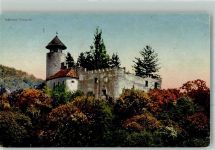 Birseck Ruine Foto AK Schloss